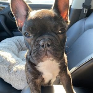 Meet your Posher, Ben